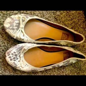 Dolce Vita 8 women’s flats